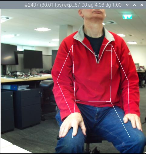 成年男性的姿势估计